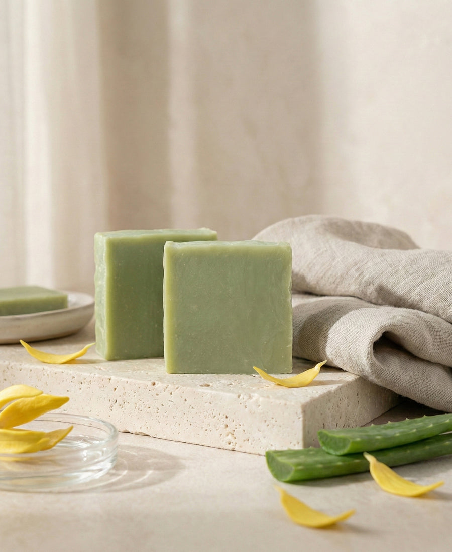 Barra de Champú de Aloe Fresco – 85 g.